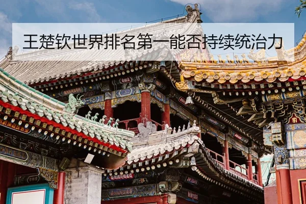 王楚钦世界排名第一能否持续统治力